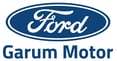 Ford Logo OK