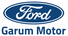 Ford Logo Ok